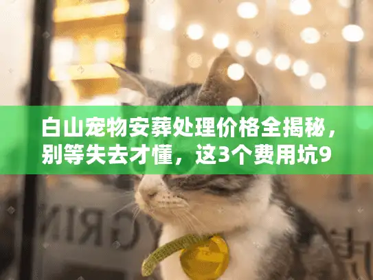 白山宠物安葬处理价格全揭秘，别等失去才懂，这3个费用坑90%主人踩过