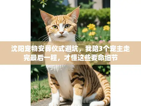 沈阳宠物安葬仪式避坑，我陪3个宠主走完最后一程，才懂这些要命细节