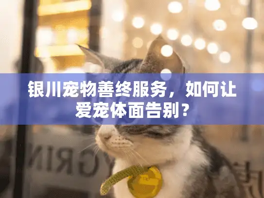 银川宠物善终服务，如何让爱宠体面告别？
