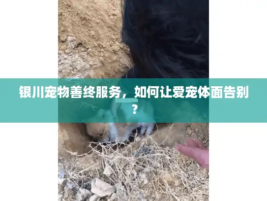 银川宠物善终服务，如何让爱宠体面告别？