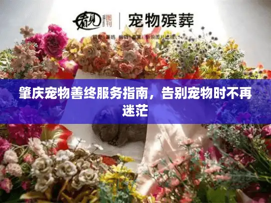 肇庆宠物善终服务指南，告别宠物时不再迷茫