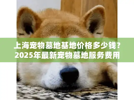 上海宠物墓地基地价格多少钱？2025年最新宠物墓地服务费用大公开