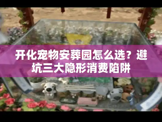 开化宠物安葬园怎么选？避坑三大隐形消费陷阱