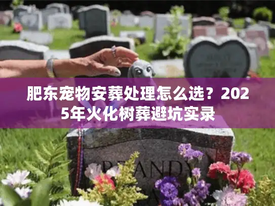 肥东宠物安葬处理怎么选？2025年火化树葬避坑实录