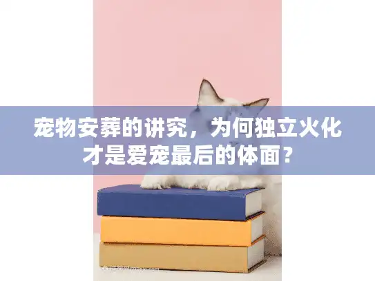 宠物安葬的讲究，为何独立火化才是爱宠最后的体面？