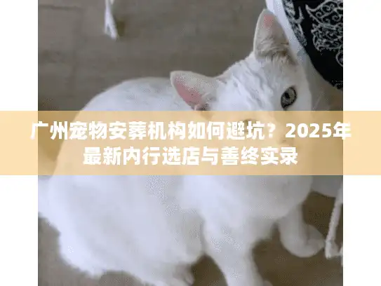 广州宠物安葬机构如何避坑？2025年最新内行选店与善终实录