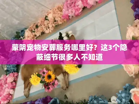 蒙阴宠物安葬服务哪里好？这3个隐蔽细节很多人不知道