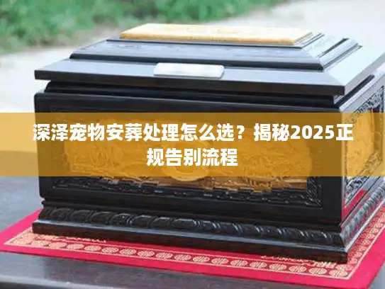 深泽宠物安葬处理怎么选？揭秘2025正规告别流程