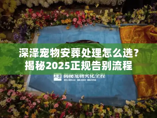 深泽宠物安葬处理怎么选？揭秘2025正规告别流程
