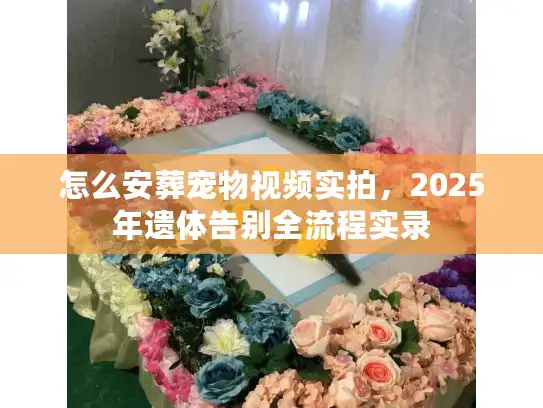 怎么安葬宠物视频实拍，2025年遗体告别全流程实录