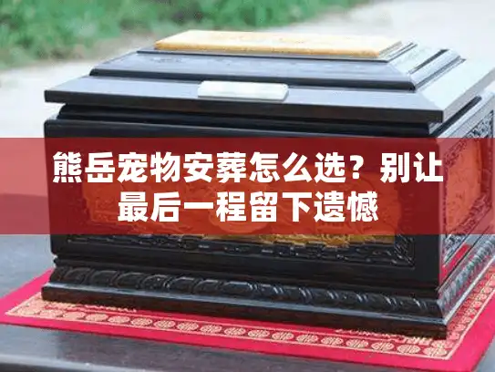 熊岳宠物安葬怎么选？别让最后一程留下遗憾