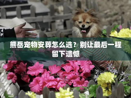 熊岳宠物安葬怎么选？别让最后一程留下遗憾