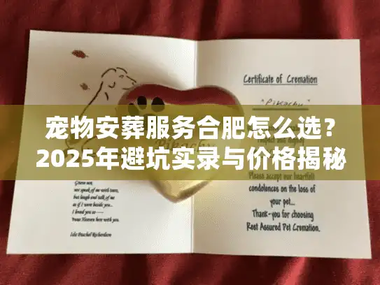 宠物安葬服务合肥怎么选？2025年避坑实录与价格揭秘