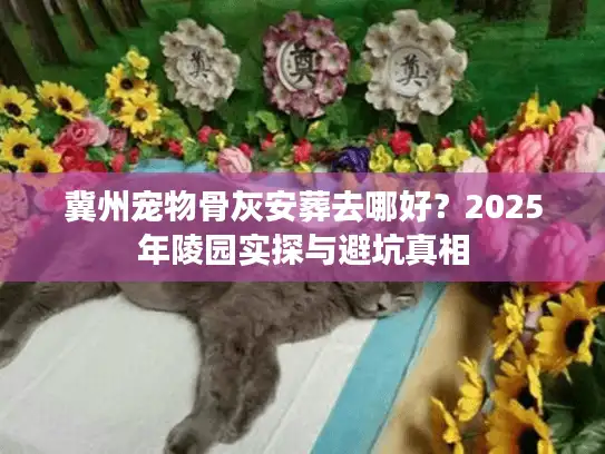 冀州宠物骨灰安葬去哪好？2025年陵园实探与避坑真相