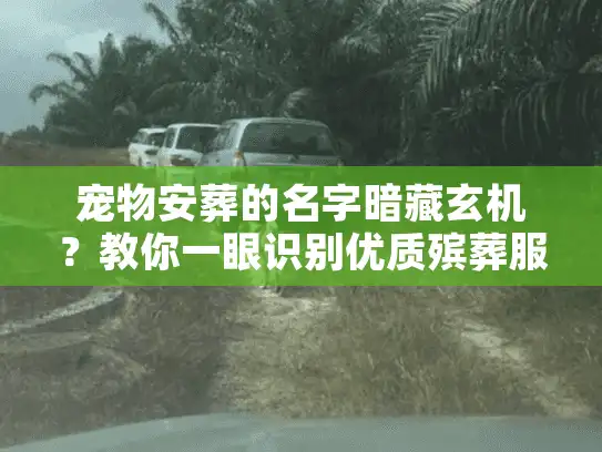 宠物安葬的名字暗藏玄机？教你一眼识别优质殡葬服务