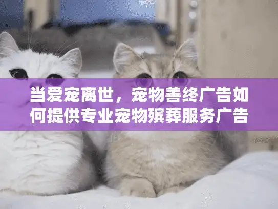 当爱宠离世，宠物善终广告如何提供专业宠物殡葬服务广告？