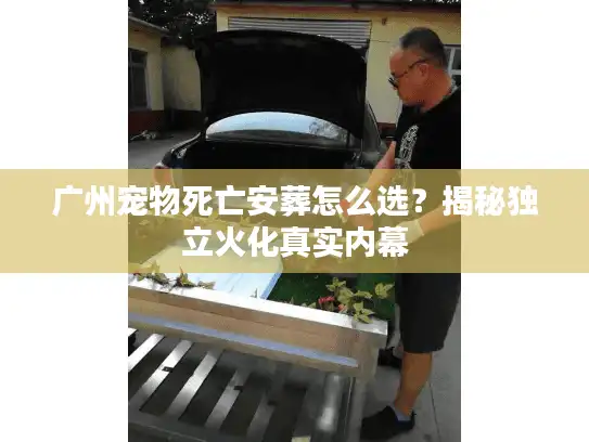 广州宠物死亡安葬怎么选？揭秘独立火化真实内幕