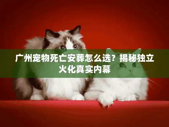 广州宠物死亡安葬怎么选？揭秘独立火化真实内幕