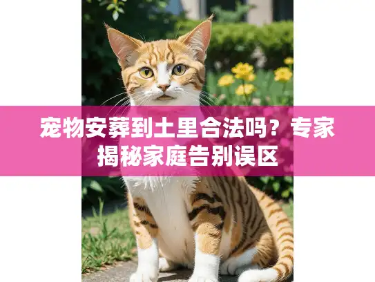 宠物安葬到土里合法吗？专家揭秘家庭告别误区