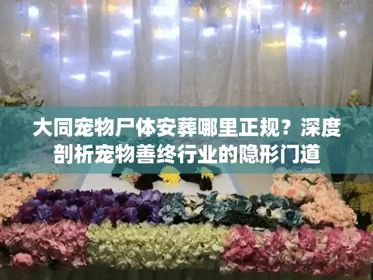 大同宠物尸体安葬哪里正规？深度剖析宠物善终行业的隐形门道