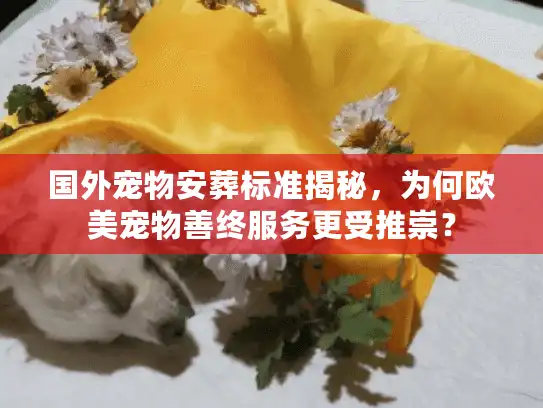 国外宠物安葬标准揭秘，为何欧美宠物善终服务更受推崇？