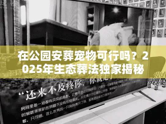 在公园安葬宠物可行吗？2025年生态葬法独家揭秘