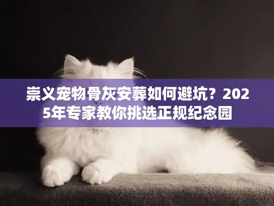 崇义宠物骨灰安葬如何避坑？2025年专家教你挑选正规纪念园