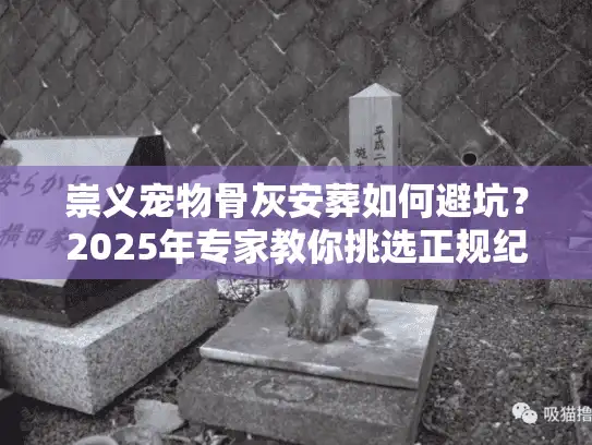 崇义宠物骨灰安葬如何避坑？2025年专家教你挑选正规纪念园