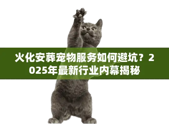 火化安葬宠物服务如何避坑？2025年最新行业内幕揭秘
