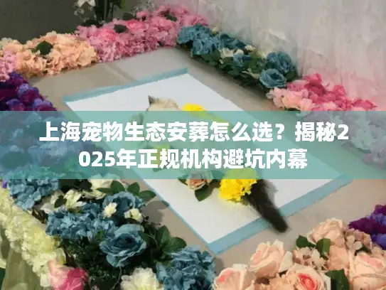 上海宠物生态安葬怎么选？揭秘2025年正规机构避坑内幕