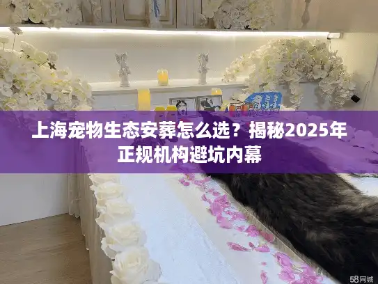 上海宠物生态安葬怎么选？揭秘2025年正规机构避坑内幕