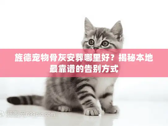 旌德宠物骨灰安葬哪里好？揭秘本地最靠谱的告别方式