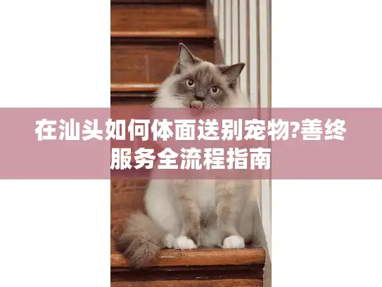 在汕头如何体面送别宠物?善终服务全流程指南