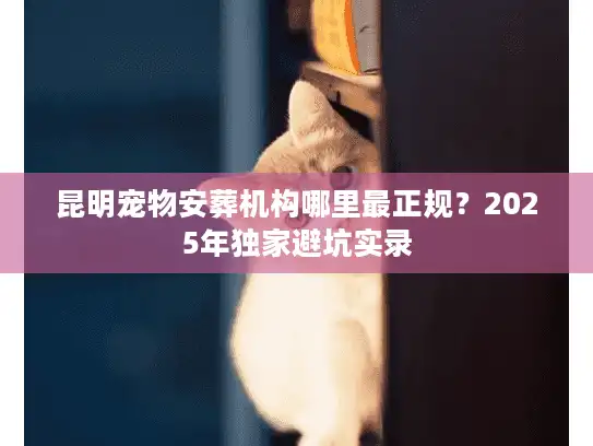 昆明宠物安葬机构哪里最正规？2025年独家避坑实录