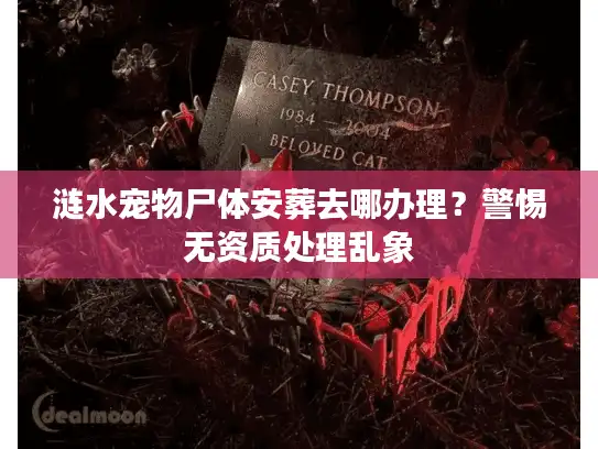 涟水宠物尸体安葬去哪办理？警惕无资质处理乱象