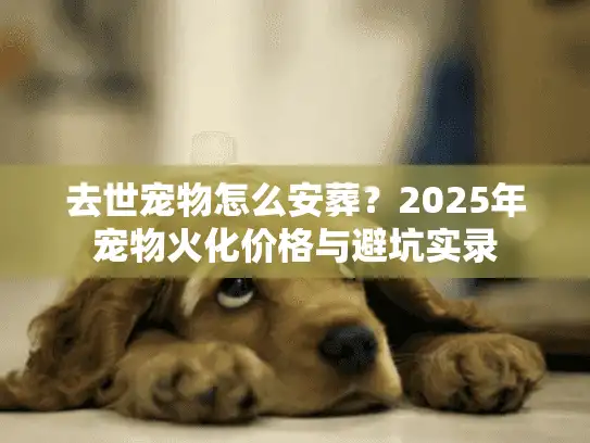 去世宠物怎么安葬？2025年宠物火化价格与避坑实录
