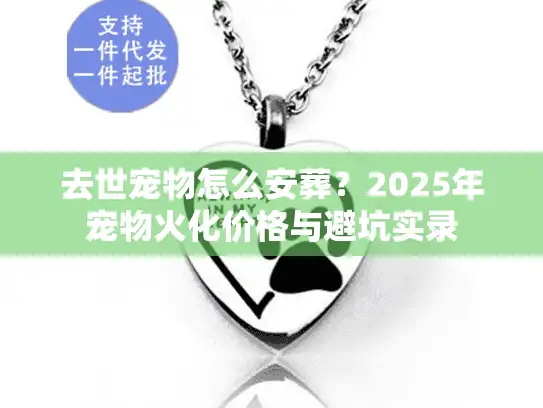 去世宠物怎么安葬？2025年宠物火化价格与避坑实录