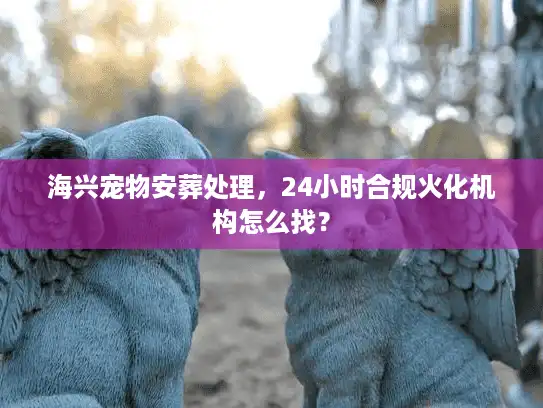 海兴宠物安葬处理，24小时合规火化机构怎么找？