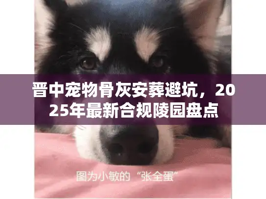 晋中宠物骨灰安葬避坑，2025年最新合规陵园盘点