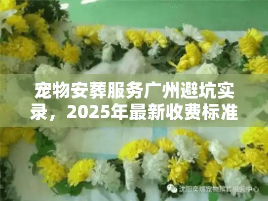 宠物安葬服务广州避坑实录，2025年最新收费标准与流程