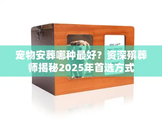 宠物安葬哪种最好？资深殡葬师揭秘2025年首选方式