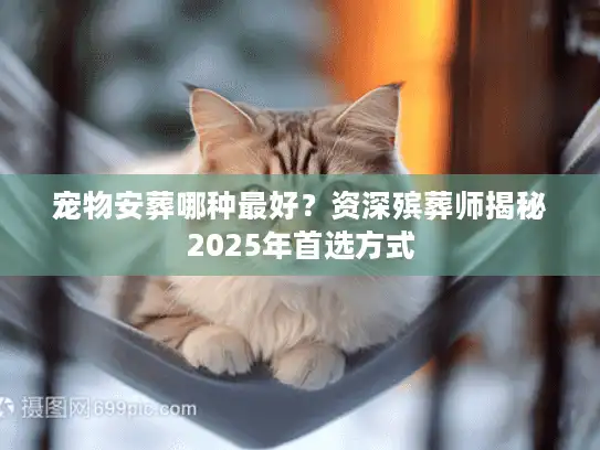 宠物安葬哪种最好？资深殡葬师揭秘2025年首选方式