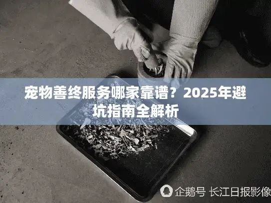宠物善终服务哪家靠谱？2025年避坑指南全解析