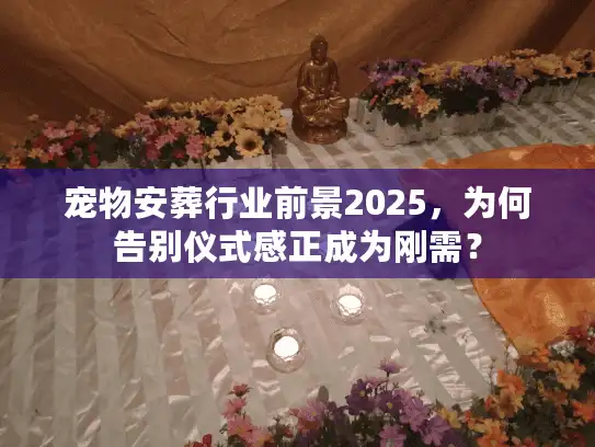 宠物安葬行业前景2025，为何告别仪式感正成为刚需？