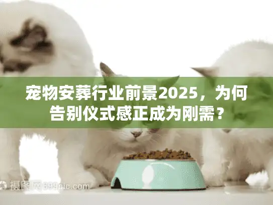 宠物安葬行业前景2025，为何告别仪式感正成为刚需？