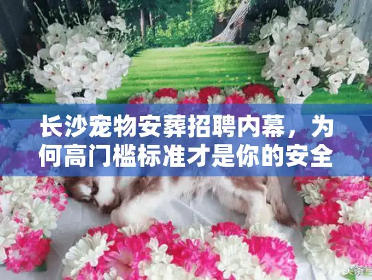 长沙宠物安葬招聘内幕，为何高门槛标准才是你的安全护盾？
