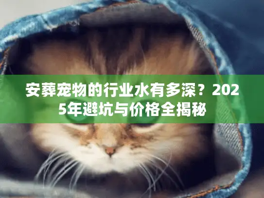 安葬宠物的行业水有多深？2025年避坑与价格全揭秘