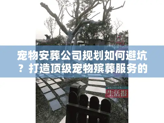 宠物安葬公司规划如何避坑？打造顶级宠物殡葬服务的实战秘籍