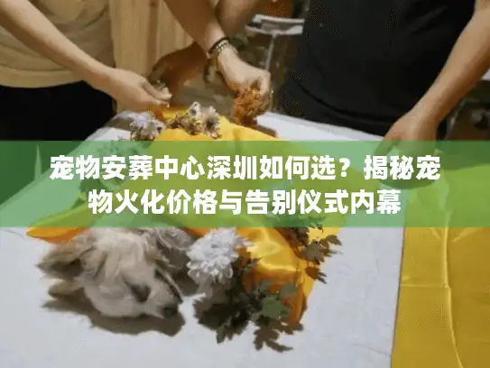 宠物安葬中心深圳如何选？揭秘宠物火化价格与告别仪式内幕