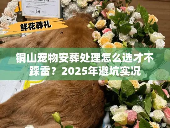 铜山宠物安葬处理怎么选才不踩雷？2025年避坑实况